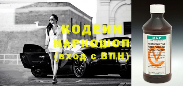 индика Новозыбков
