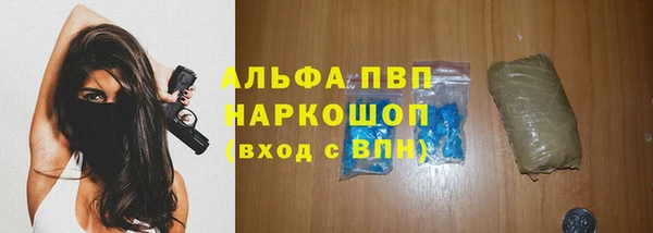крисы Осинники