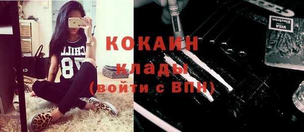 крисы Осинники