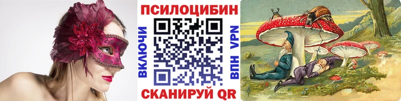 kraken ССЫЛКА  Полысаево  Псилоцибиновые грибы мицелий 
