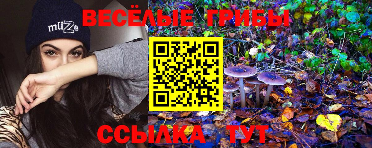 Псилоцибиновые грибы прущие грибы Полысаево